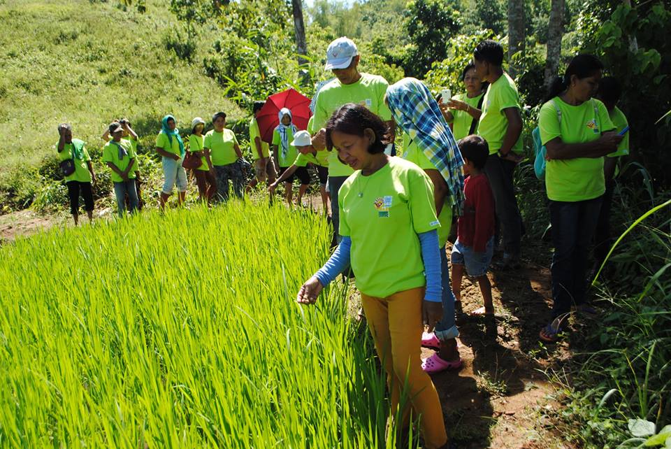 IN THE NEWS: Organic farming cooperators complete Department of Agrarian Reform's training on block farming production