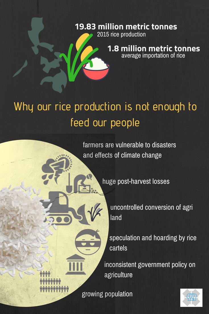 Why our rice is never enough